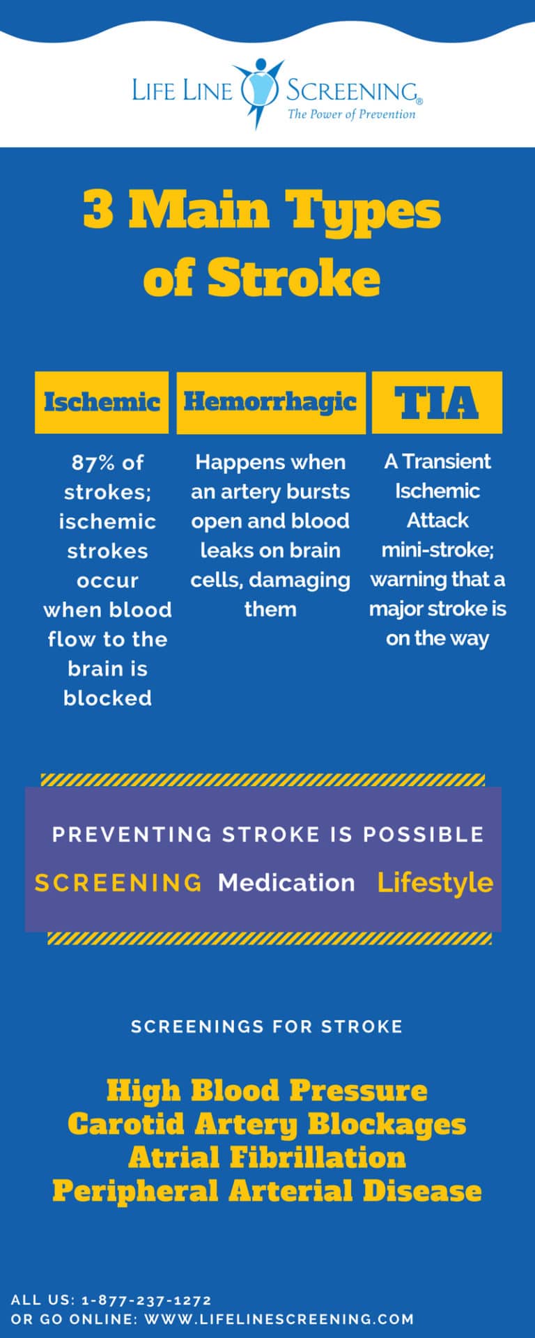 3 Kinds of Stroke Infographic - Life Line Screening